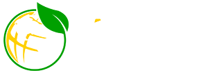 Licc America